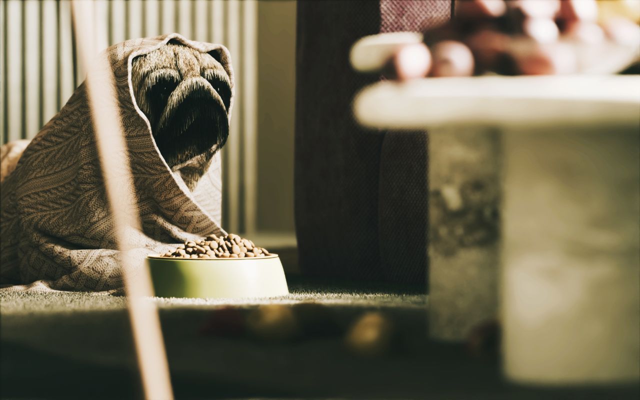 IMG_20241010_201217_013