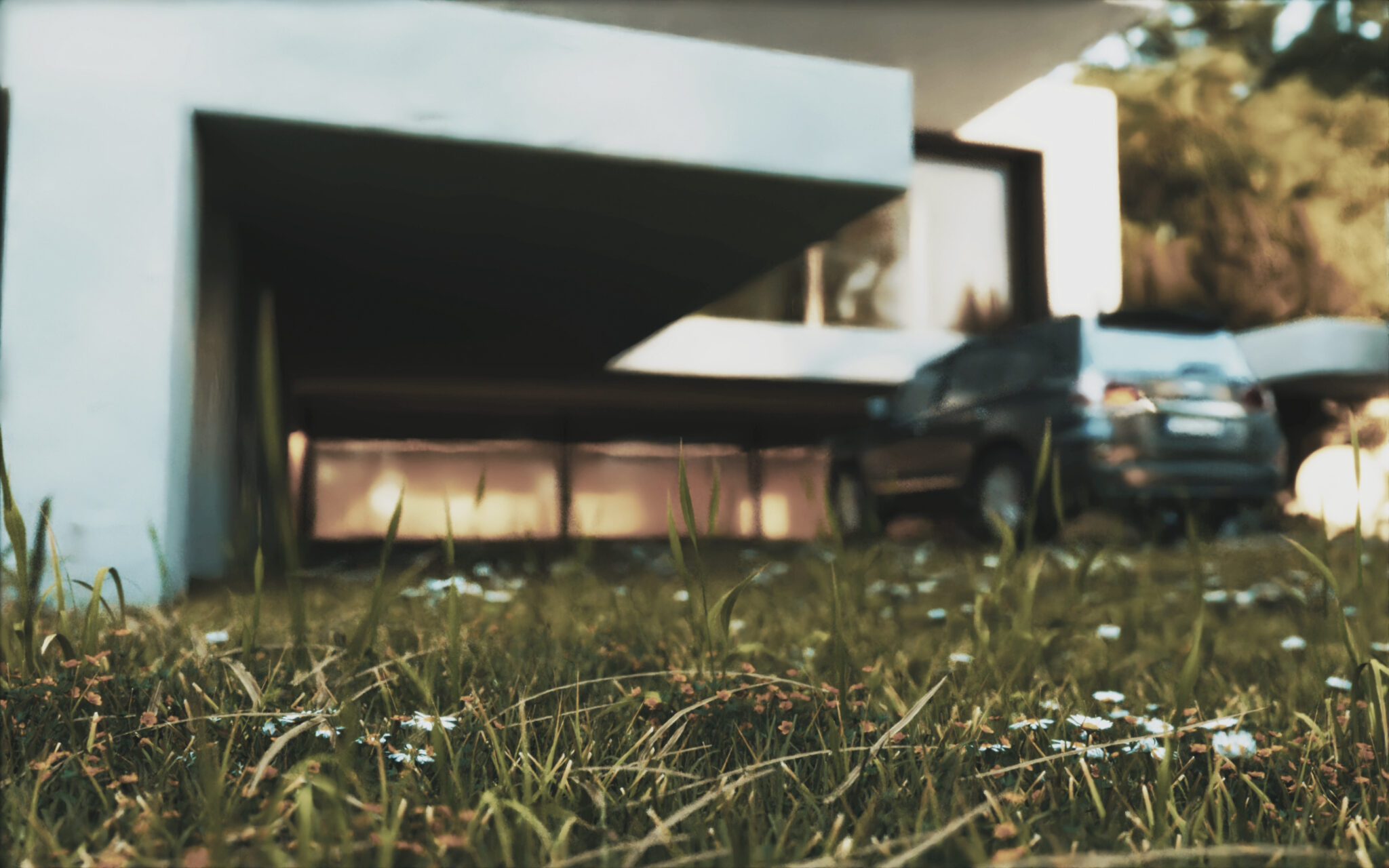 InShot_۲۰f۲۴۱۲۰۹_۱۹۵۴۰۷۵۰۳