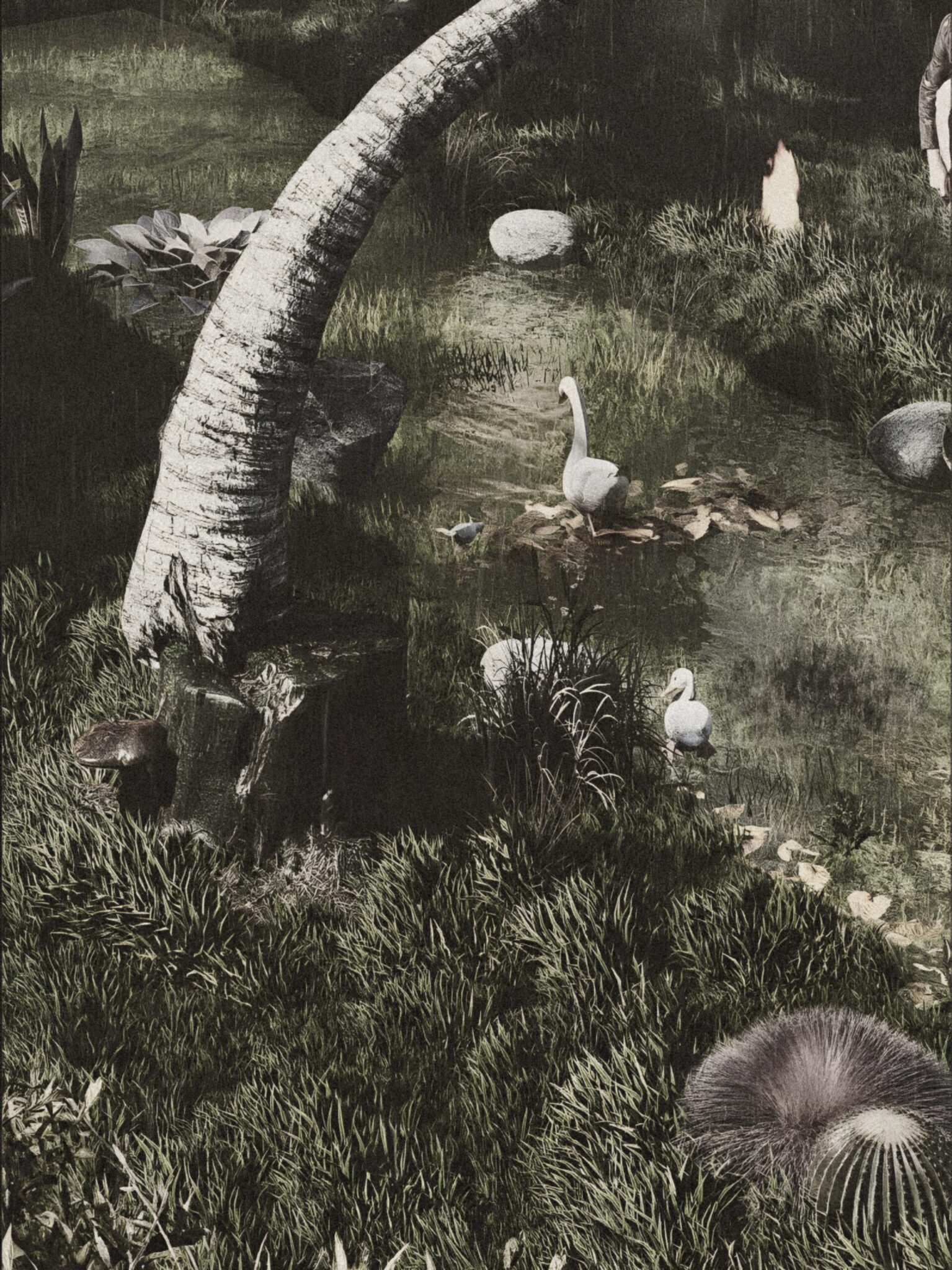 Picsart_26-01-22_11-14-09-204